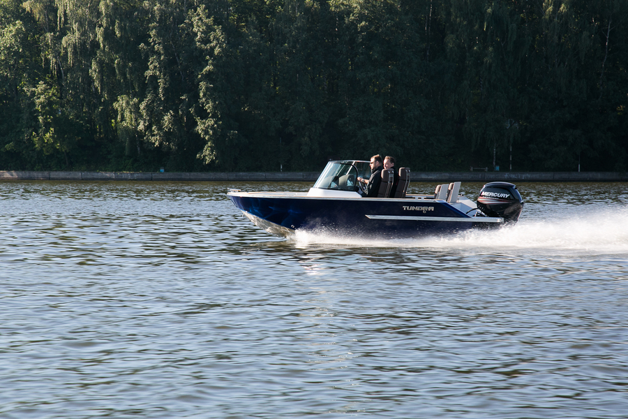 TUNDRA D4