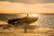 RealCraft 470 Fish