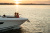 Regal 33 OBX
