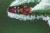 MasterCraft XSTAR S