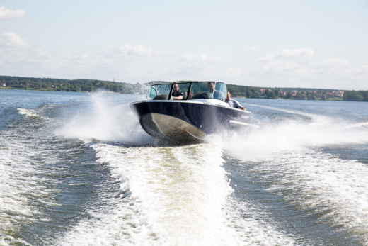 TUNDRA D4