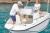 QUICKSILVER ACTIV 505 OPEN