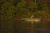 MasterCraft NXT 24