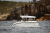 QUICKSILVER 805 PILOTHOUSE