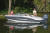 Chaparral 21 SSI OB Ski & Fish