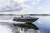 Volzhanka  Fish 46