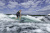 Regal LS2 SURF