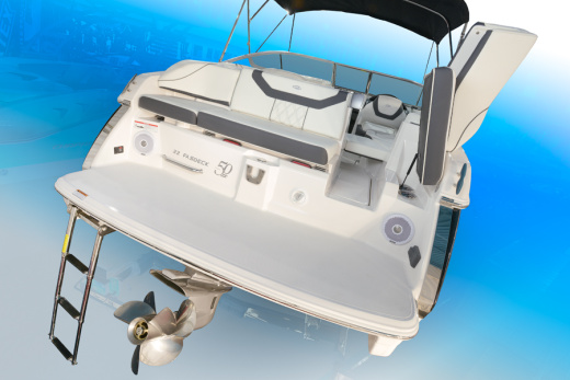 Regal 22 FASDECK