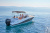 QUICKSILVER ACTIV 675 SUNDECK