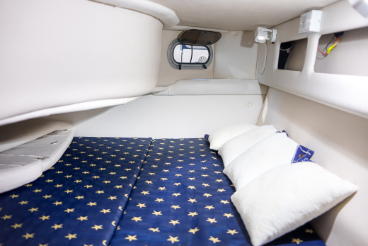 Crownline 315 SCR
