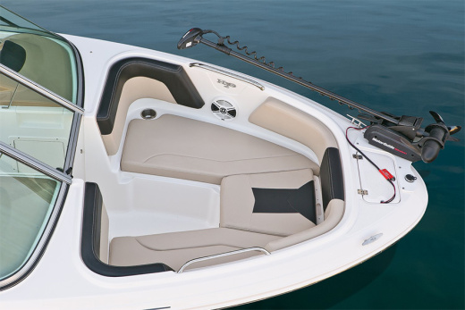 Chaparral 21 SSI OB Ski & Fish