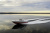 Regal LS2 SURF