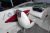 Sea Ray 185 Sport (2006г)
