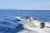 QUICKSILVER ACTIV 755 CRUISER