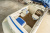 Chaparral 205 SSE