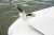 Regal 23 OBX