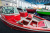 NorthSilver 585 Fish Sport