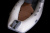 Лодка BRIG Falcon F500L