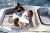 QUICKSILVER ACTIV 755 OPEN