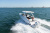 Regal 29 OBX