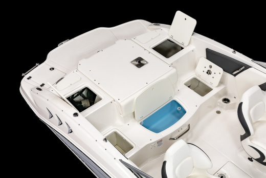 Chaparral 21 SSI SKI & FISH