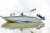 QUICKSILVER 525 AXESS