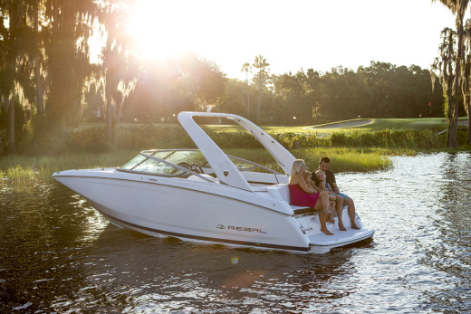 Regal 22 FASDECK