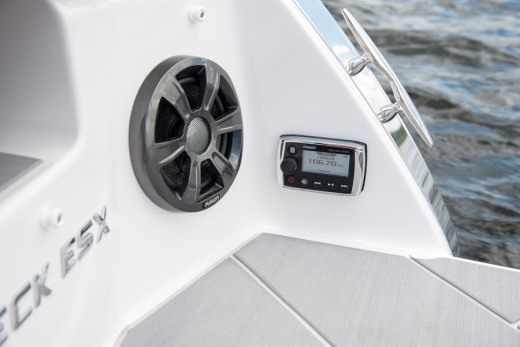 Regal 22 FASDECK