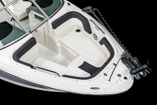 Chaparral 21 SSI SKI & FISH