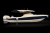 Chris-Craft Calypso 35