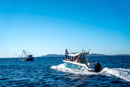 QUICKSILVER 805 PILOTHOUSE