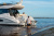 Regal 42 FXO