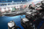 NorthSilver 520 Fish