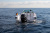 Axopar 28 Open