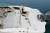 Chaparral 21 SSI OB Ski & Fish