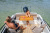 QUICKSILVER ACTIV 605 CRUISER