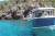 QUICKSILVER 705 PILOTHOUSE