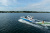 Regal LS6 SURF