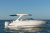 Regal 29 OBX