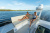 Regal 42 FXO