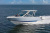 Chaparral 280 OSX