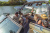 MasterCraft X 26