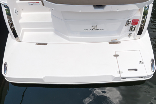 Regal 28 EXPRESS