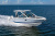 Chaparral 280 OSX