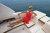 Chaparral 287 SSX