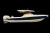 Chris-Craft Calypso 35