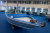 NorthSilver 585 FishSport (2020г.)