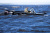 RealCraft 470 Fish