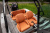 Saxdor 200 Sport с мотором Mercury 115 ProXS