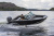 Volzhanka  Fish 46